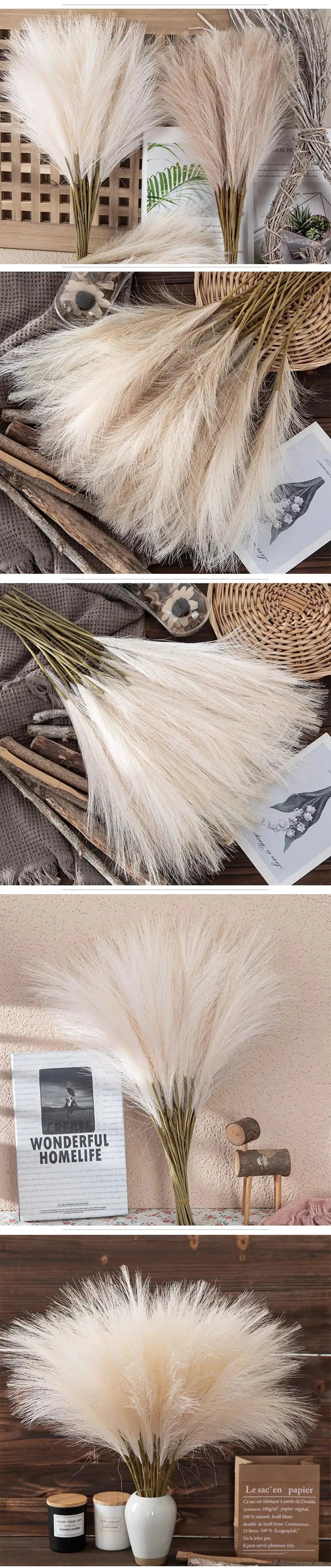 Simples Market pampas grass bouquets, beige fluffy plumes, 42cm tall, available in 5, 10 or 20 pieces