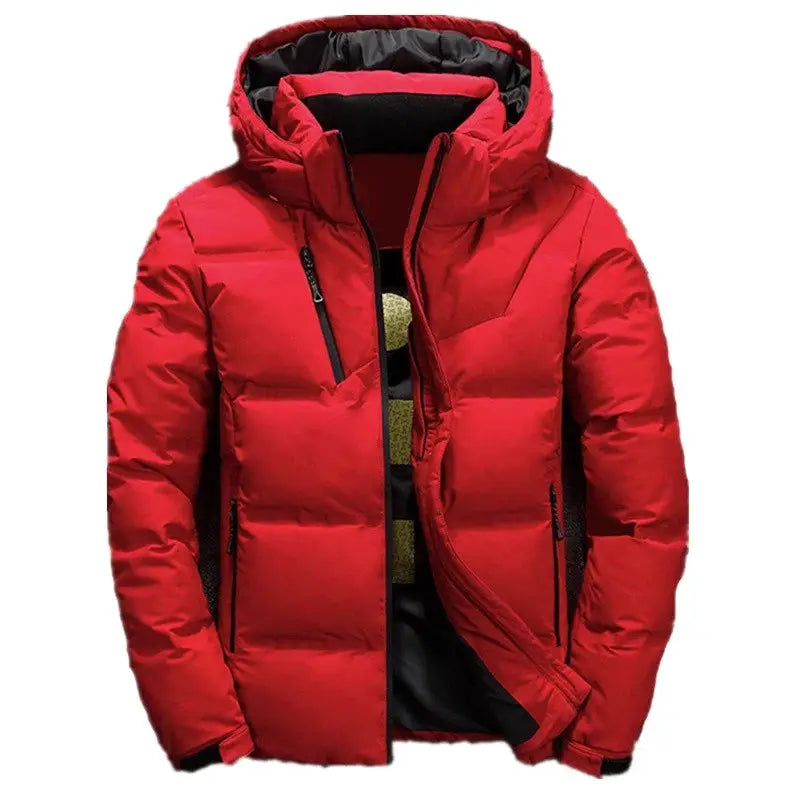Red men's hooded duck-down puffer jacket with quilted panels