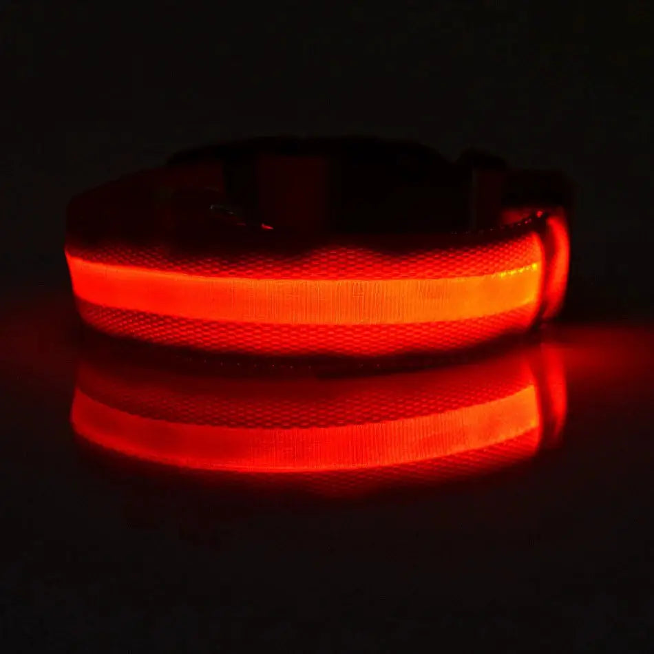 Nylon LED dog collar with glowing red safety stripe