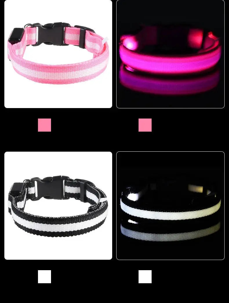 Nylon LED dog collars; Simples Market, set of 4 glow-in-the-dark designs in pink and black/white stripes