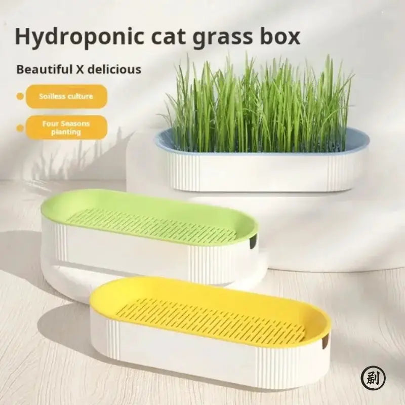 Hydroponic Cat Grass Box Kit for Easy Growth Soilless Planting Cat Grass Pot Set Cat Treats