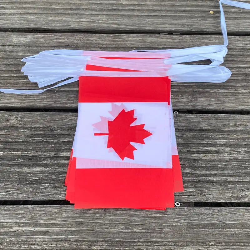 Canada Bunting Flags 20Pcs Set Pennant Banner for Parties and Holidays
