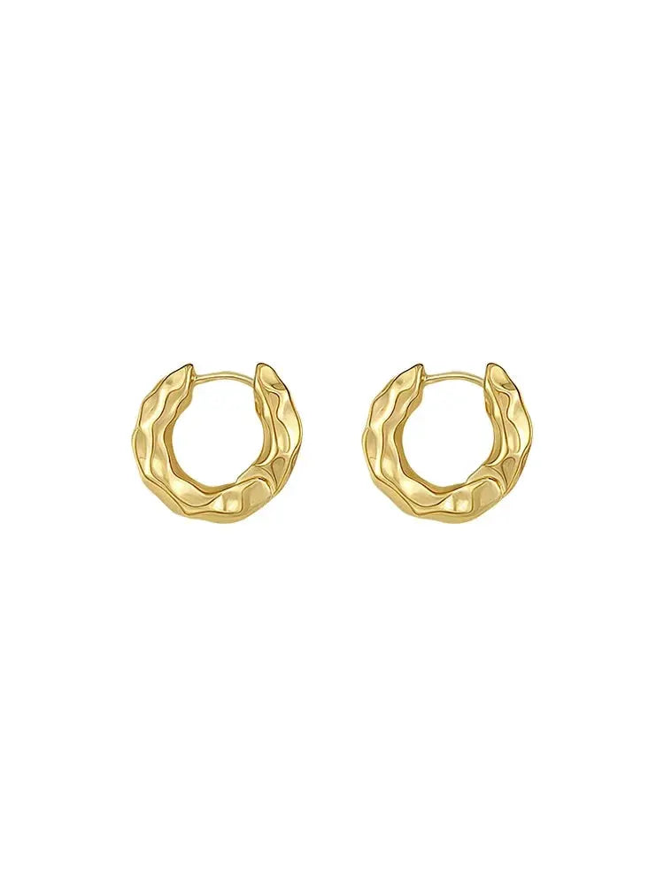 Reeti 925 Sterling Silver Circle Hoop Earrings For Women Fashion Jewelry Real Silver Ear Hoops