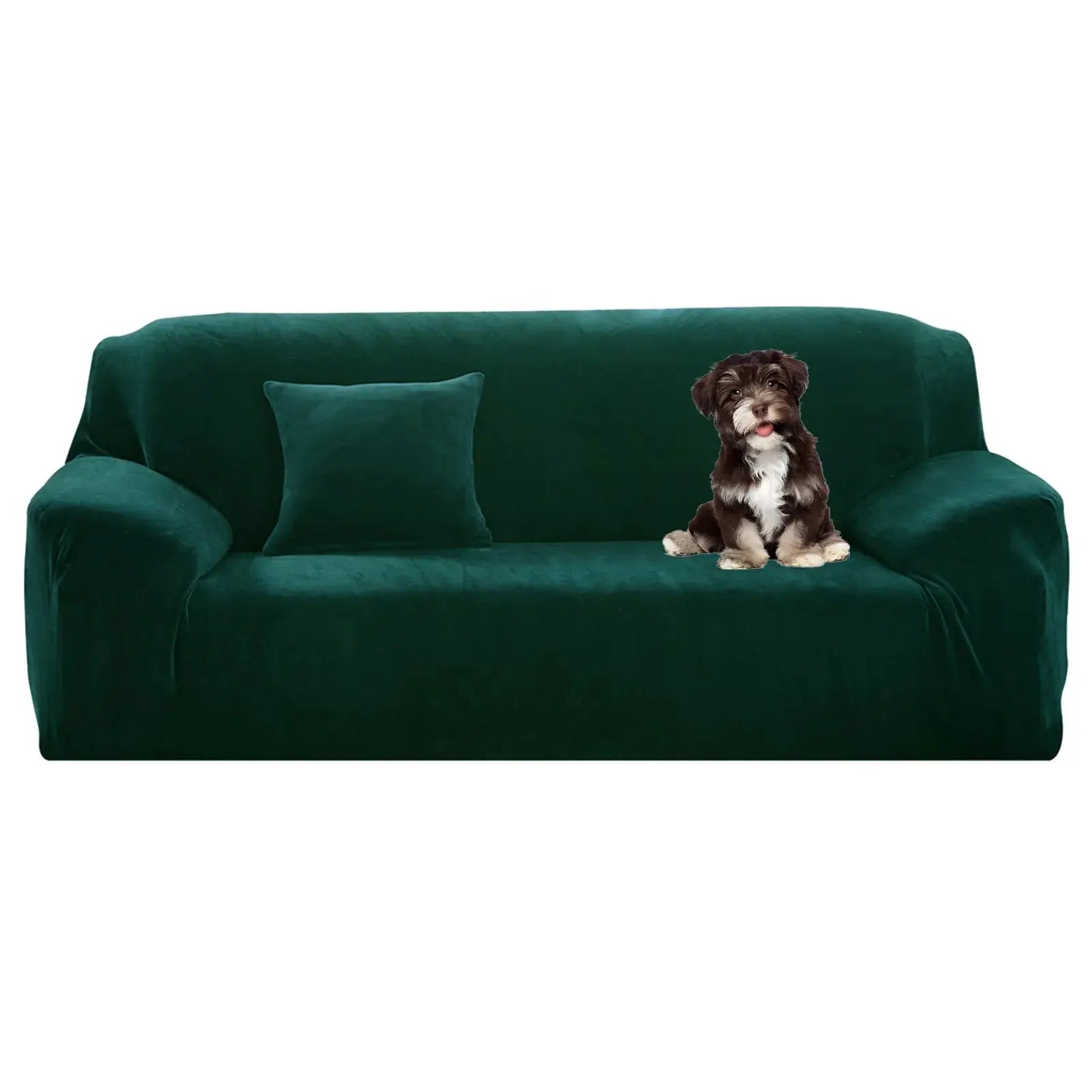 Stretch velvet sofa cover for 1–4 seat couches in emerald green with non-slip elastic bottom; dog sits on it.