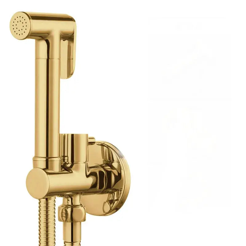 Brass handheld bidet shower set with wall mount, perforated spray head, gold finish, Simples Market