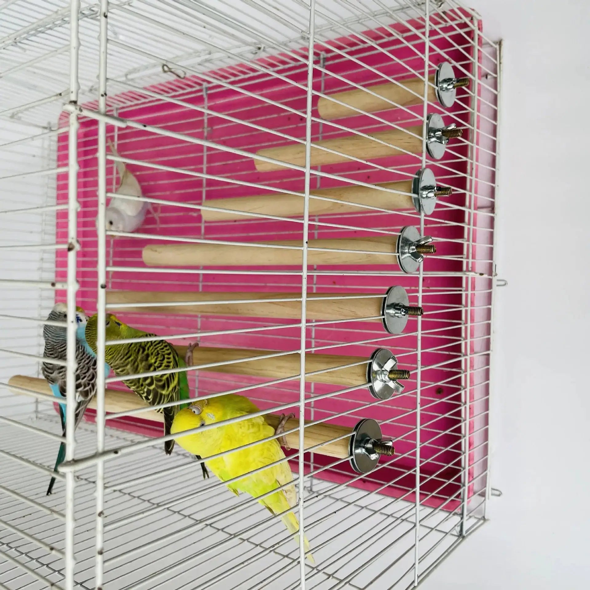 Parrot wood hanging perch set for bird cage; beige sticks mounted inside a pink bird cage