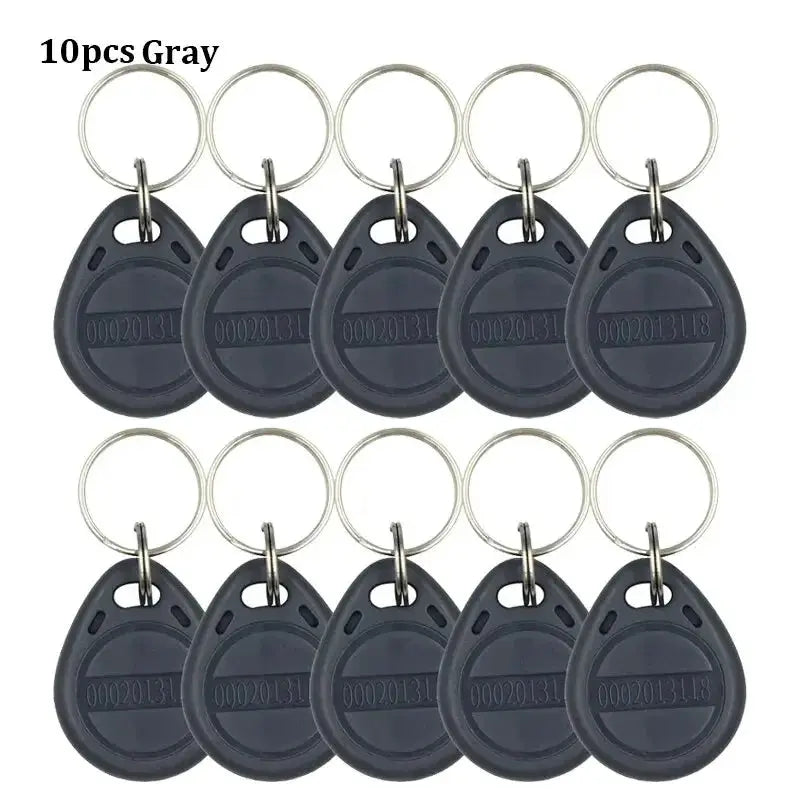 RFID keyfobs 125KHz TK4100 EM4100, 10 pcs gray with metal key rings