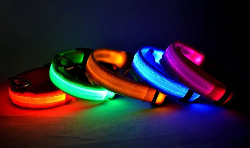 Nylon LED dog collars set of 5 glowing for night safety in red, green, orange, blue and pink