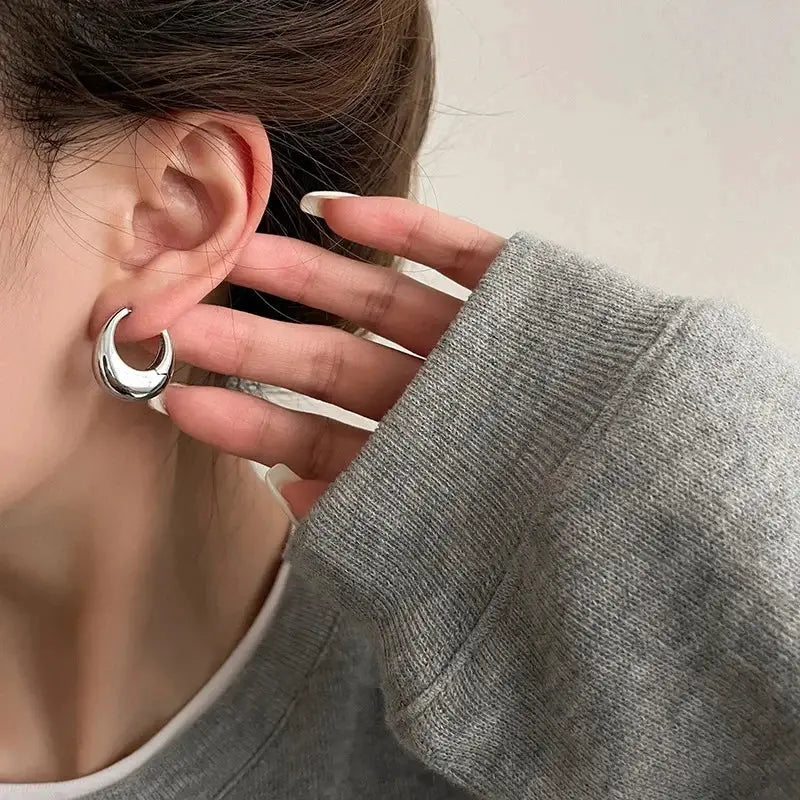Stainless Steel Chunky Hoop Earrings for Women and Girls Round Circle Punk Jewelry Statement Earrings
