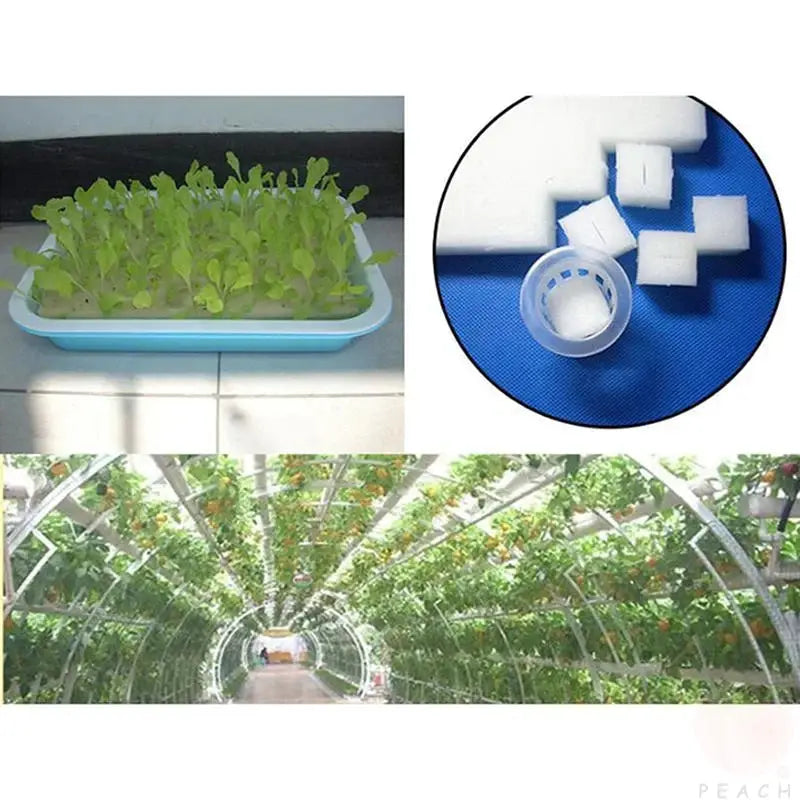 Hydroponic Seedling Sponge Plugs 100 Pcs Per Sheet For Soilless Cultivation Garden Nursery Pots Trays