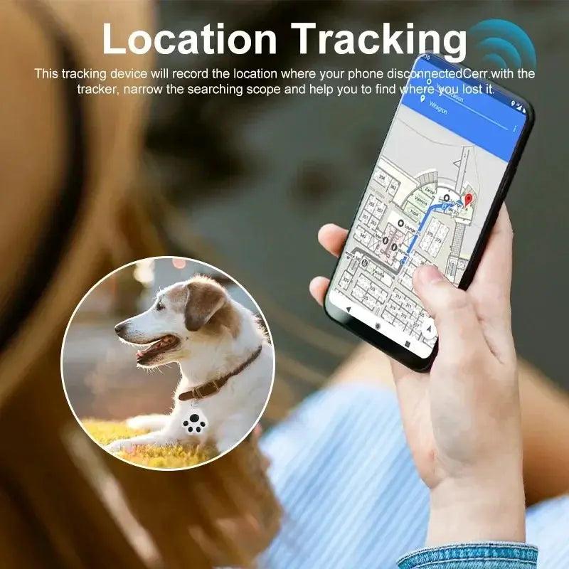 Mini pet GPS tracker on a dog's collar with smartphone showing location map (iOS/Android)