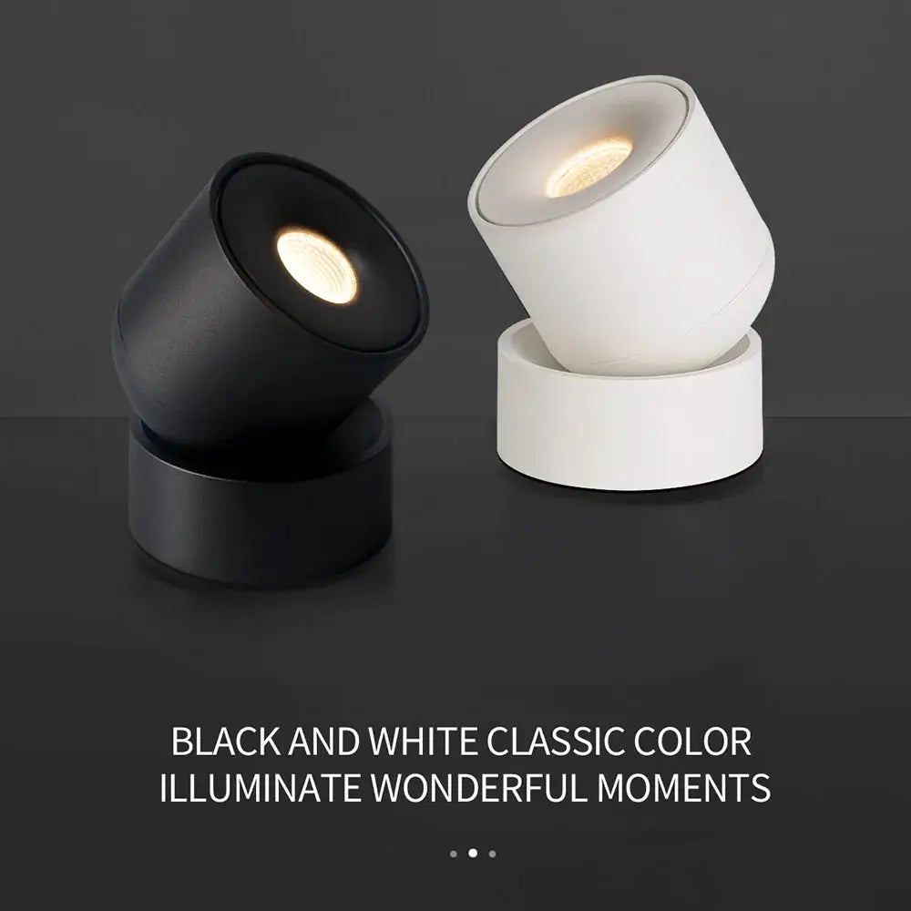 Aisilan LED ceiling spotlight set of two in black and white, 360-degree rotation COB, surface-mounted indoor lighting.
