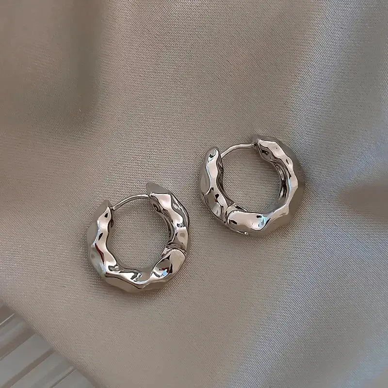 Reeti 925 Sterling Silver Circle Hoop Earrings For Women Fashion Jewelry Real Silver Ear Hoops