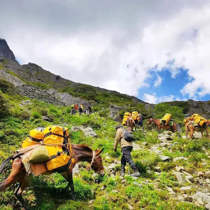 40L-120L waterproof duffle bags; several bright yellow packs carried by pack animals trekking a rocky mountain trail.