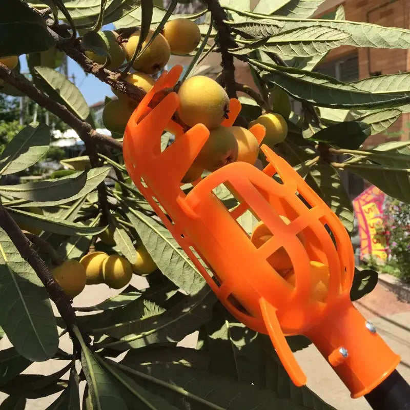 Farm Garden Fruit Picker With Deep Basket Head For Apple And Peach Harvest Convenient Fruit Catcher Tool