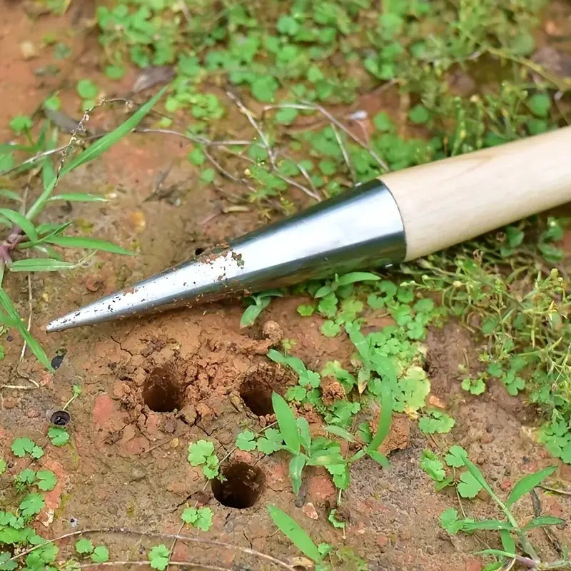Stainless Steel Hand Dibber With Wood Handle For Sowing Seeds Transplanting Plants Planting Bulbs And Digging