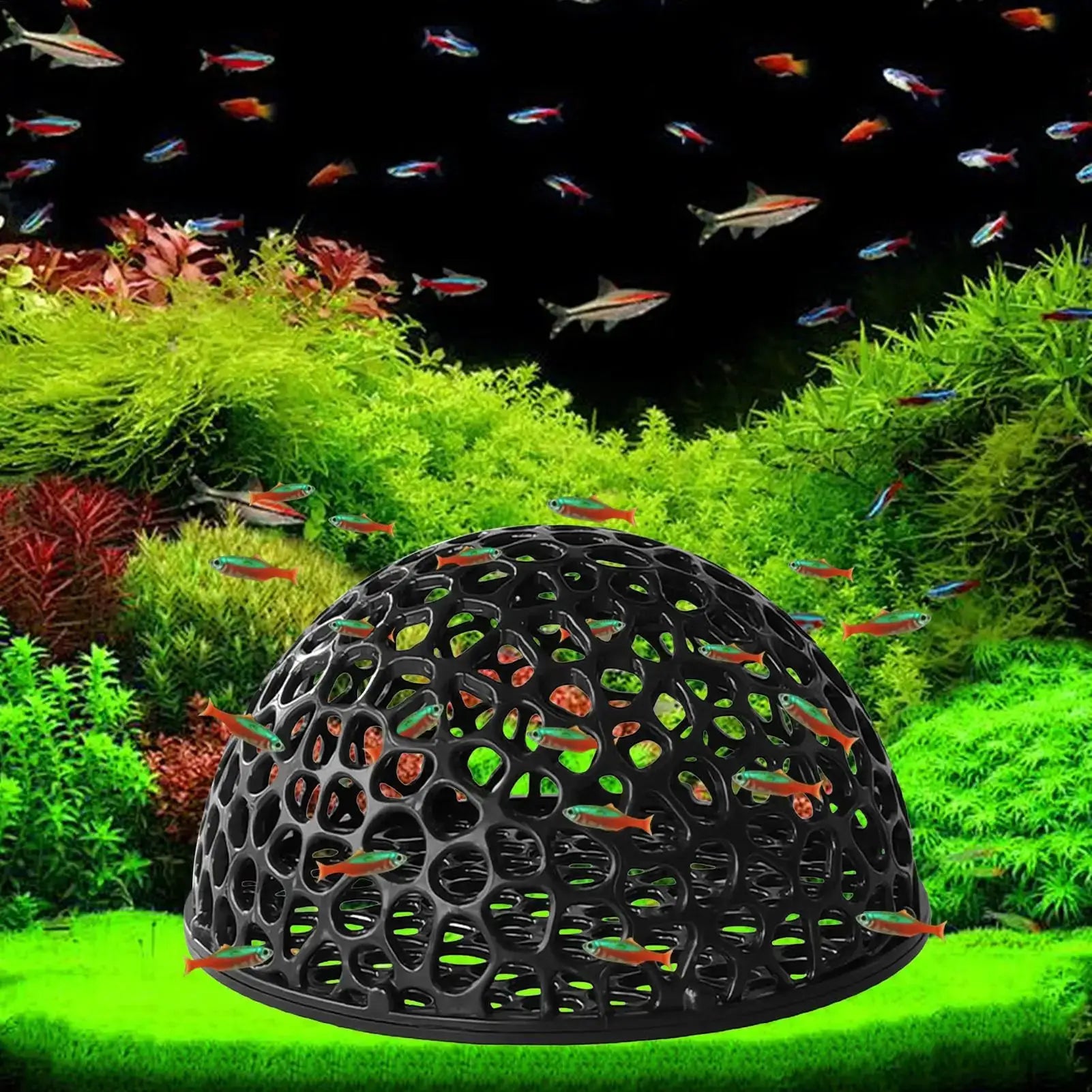 Shrimp Breeding Cave for Fish Tank and Shrimp Hiding Place Betta Habitat Aquarium Decoration