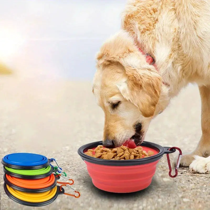 Foldable Dog Travel Bowl Portable Silicone Water Bowl with Lip