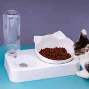 15 Degree Tilt Pet Bowl With Cervical Vertebrae Protection And Automatic Drinking Feeder Double Bowl For Dogs