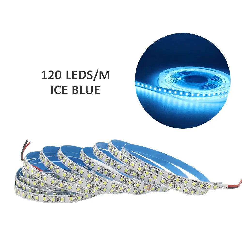 12V LED Strip SMD 2835 Warm White Flexible Tape Light 120 LED Per Meter 240 LED Per Meter Available in 1M 2M 3M 4M 5M