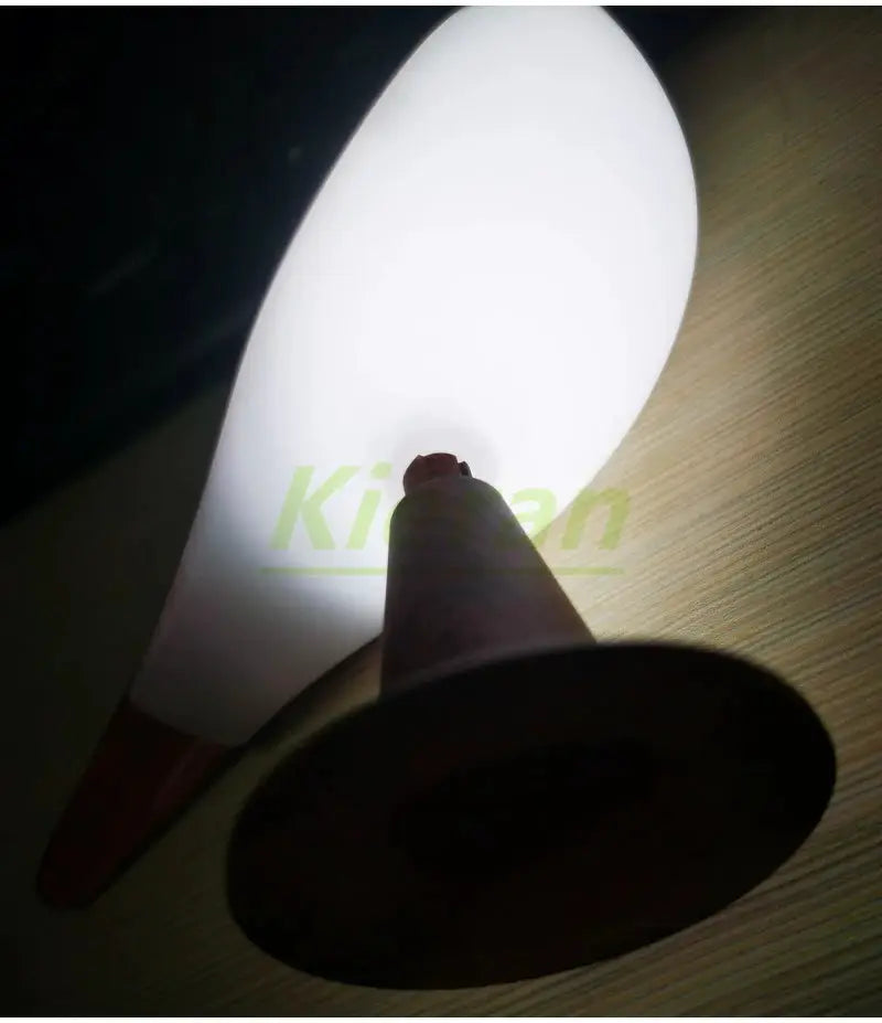 Nordic Magpie LED desk lamp with white shade and wooden stem on a round base