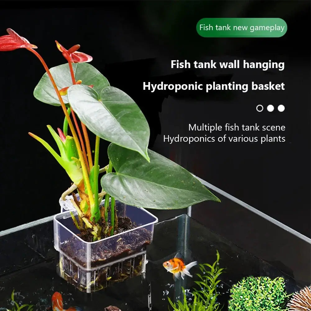Transparent Aquarium Plant Basket Hanging Decor for Fish Tank Plant Holder and Planter