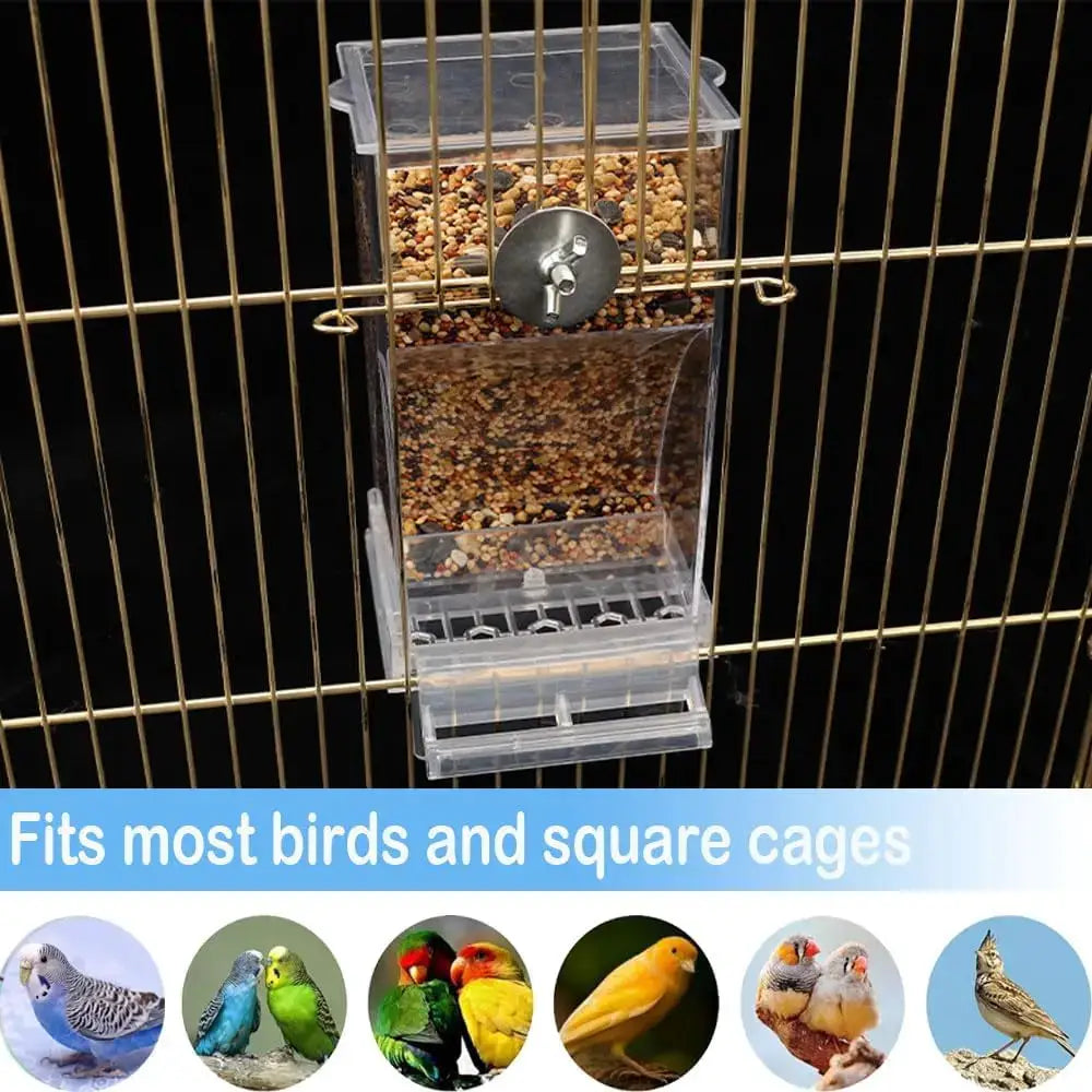No Mess Automatic Bird Feeder Transparent Food Container for Small Birds and Parrots Cage Accessories