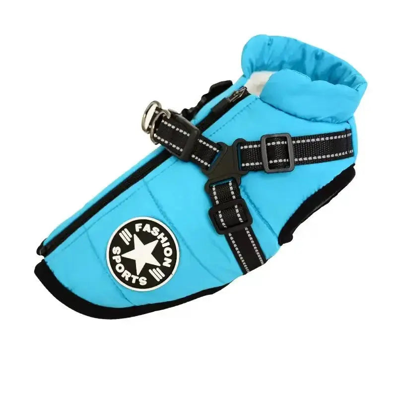 Large blue padded dog jacket with integrated harness, black straps and buckle, waterproof winter coat