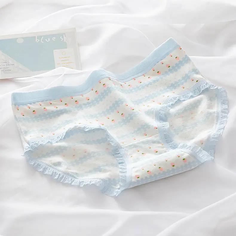 M-XL cotton panties by Simples Market, lace-trimmed, light-blue waistband on white fabric with tiny pink print