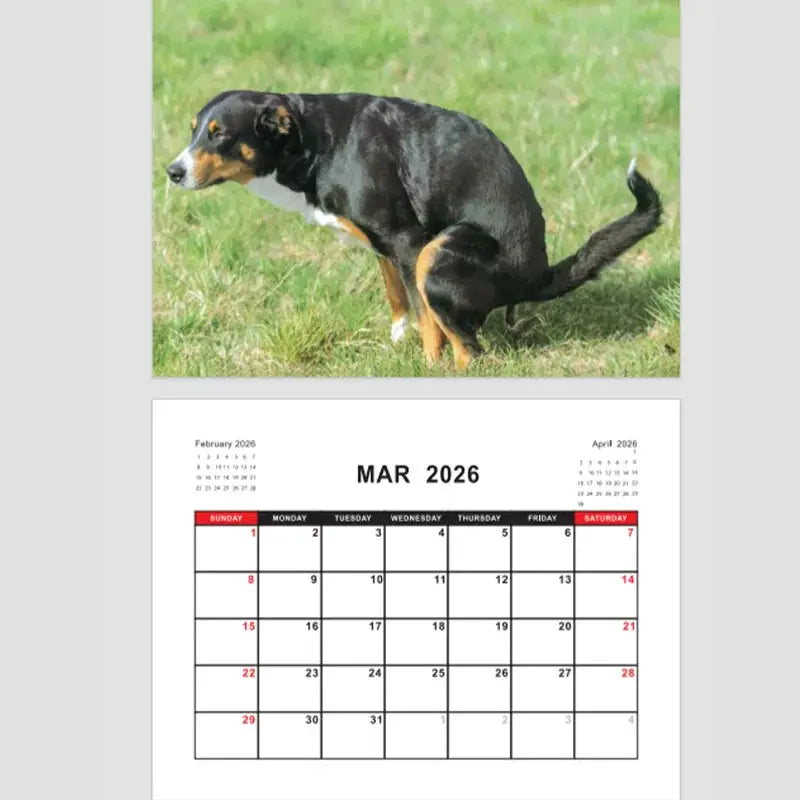 Simples Market 2026 Pooping Dog Calendar - wall calendar with black/tan dog photo and MAR 2026 monthly grid