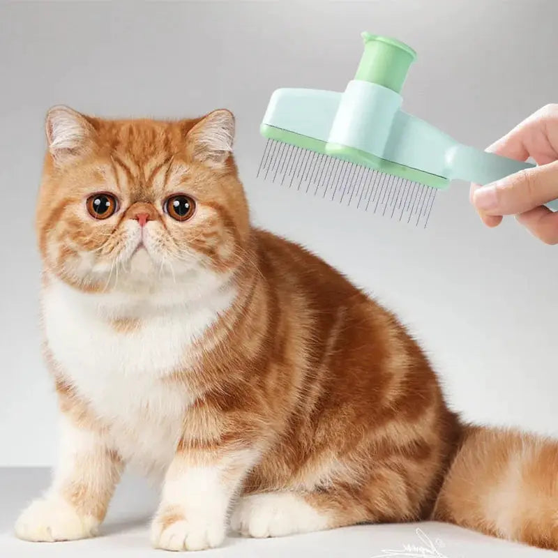 Professional Cat Grooming Massage Brush for Detangling Knots and Gentle Hair Removal