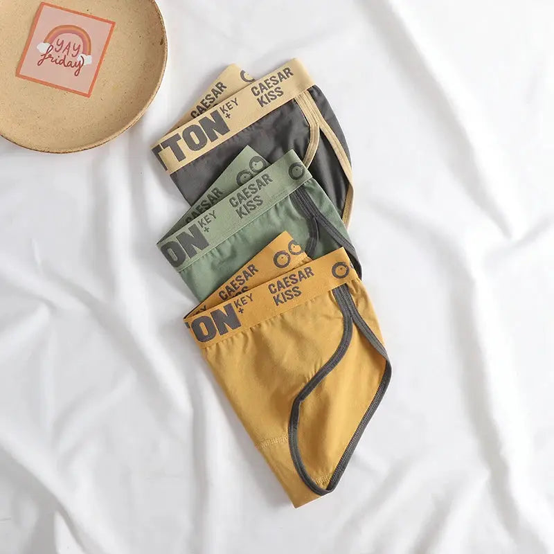 Women cotton panties 4-pack in tan, green, gray and mustard; seamless breathable briefs with Caesar Kiss waistband
