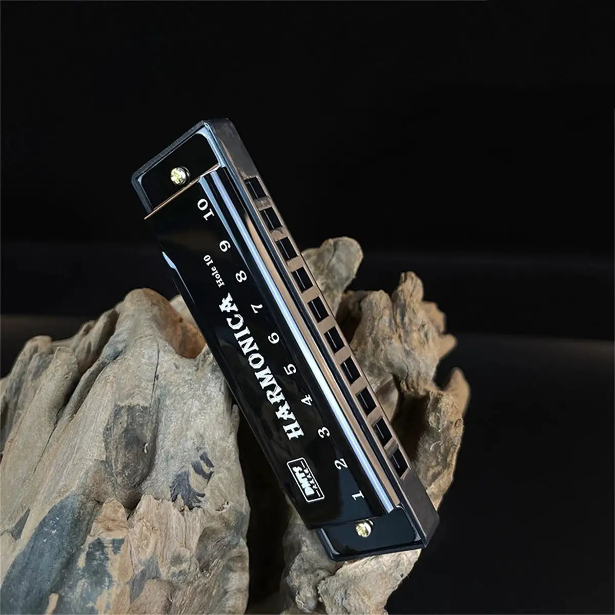 Key of C 10 Hole Diatonic Harmonica with Case for Beginners Kids Students Gift Bundle
