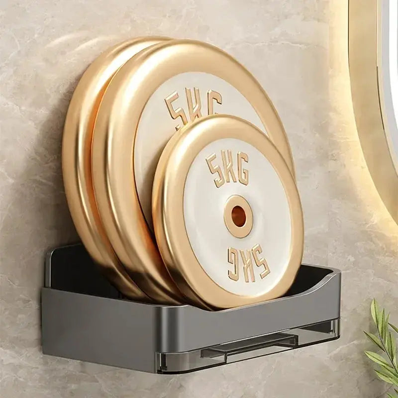 AquaNova Wall Mounted Soap And Sponge Holder With Free Punching Design Double Drainage For Quick Drying