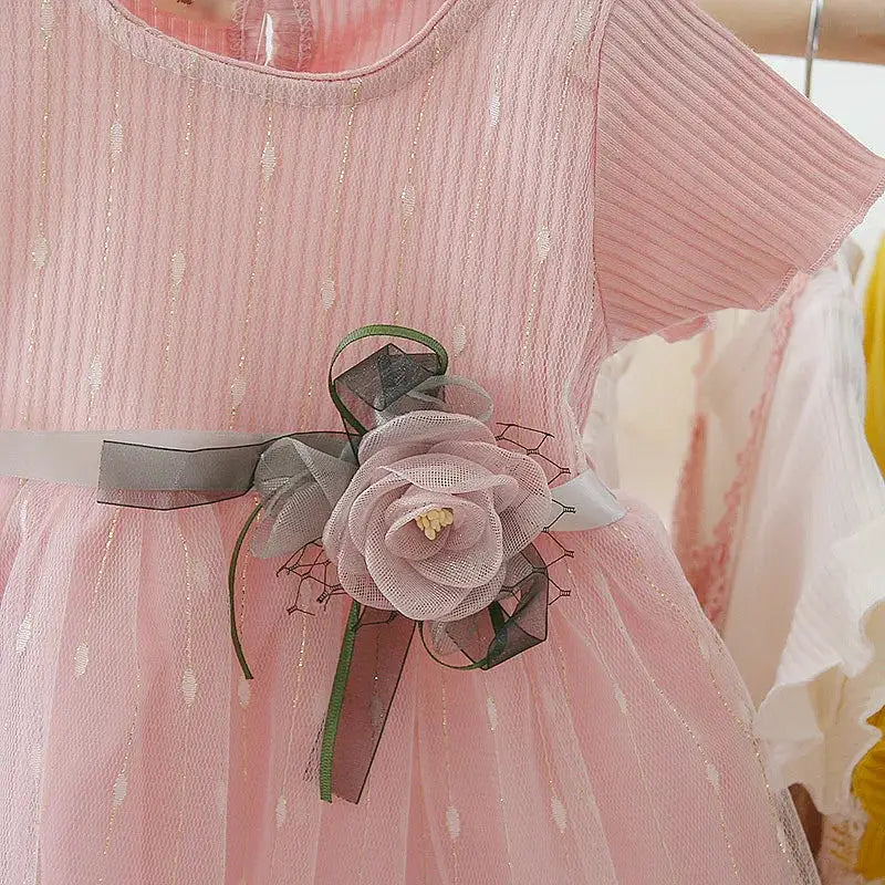 Summer Baby Girls Dress Princess Style Flower Ribbon Gauze Mesh Shaggy Dress for Birthday Parties