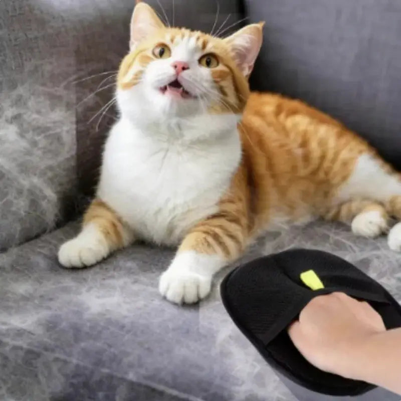 Pet Grooming Gloves For Dogs And Cats Hair Remover Kitten Cleaning Glove For Sofa Furniture Clothes