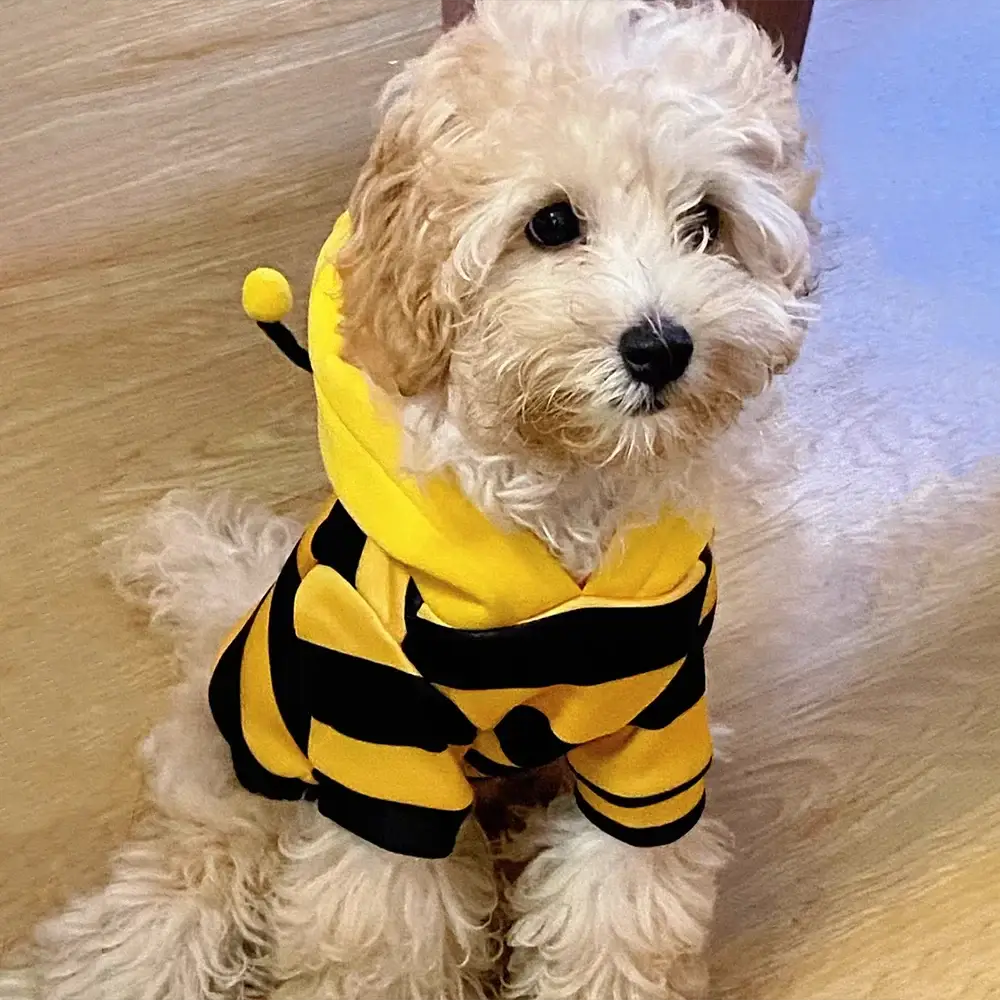 Bee Pet Puppy Coat And Cat Cosplay Outfit For Small To Medium Dogs And Cats Halloween Holiday Hoodie Costume