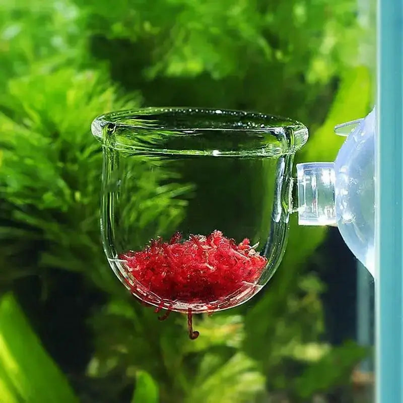 Clear Acrylic Aquatic Plant Cup For Aquarium With Suction Holder Feeding Container Stand Landscape Tank Decor