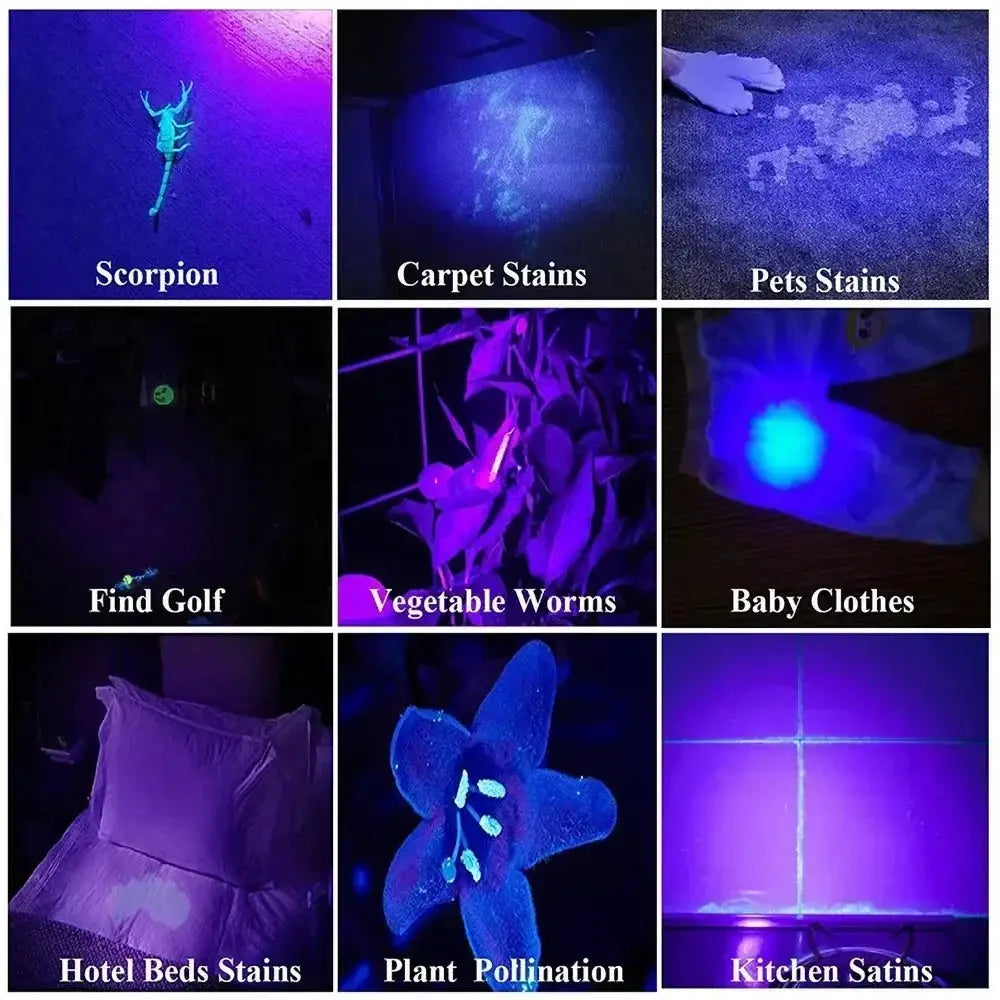 Simples Market 395nm UV Pen Flashlight with clip, black; portable blacklight for detecting stains and pests.