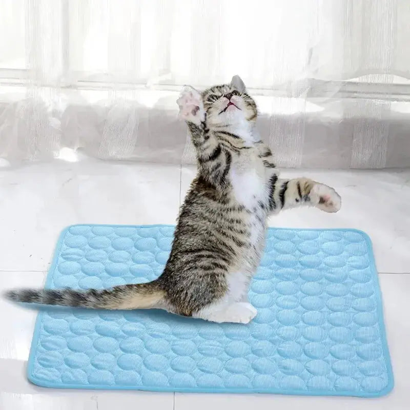 Pet Ice Cooling Mat For Summer Cats And Small Dogs Sofa Nest Bed Sleeping Pad Durable Pet Cushion Blanket
