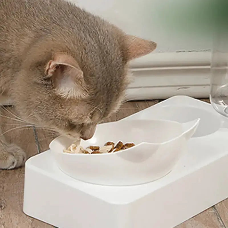 15 Degree Tilt Pet Bowl With Cervical Vertebrae Protection And Automatic Drinking Feeder Double Bowl For Dogs