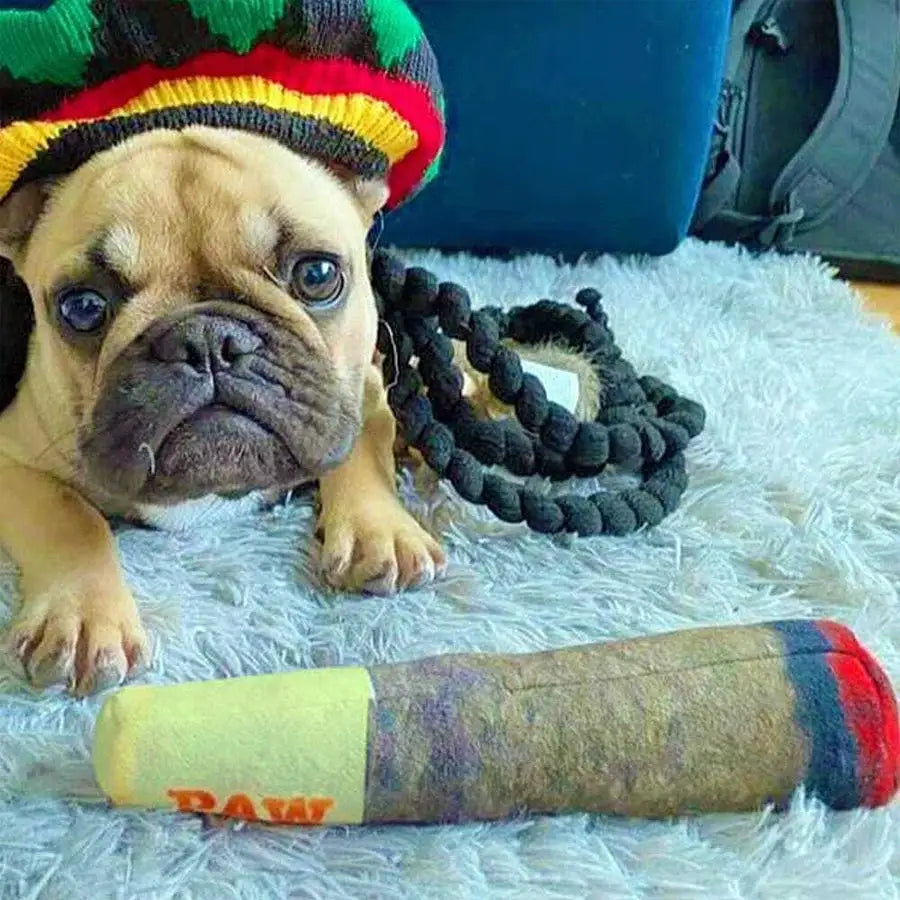 Funny Interactive Cigar Design Plush Squeaky Dog Toy For Small And Medium Dogs Dental Chew Toy