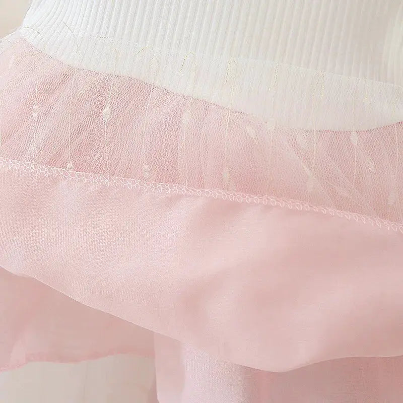 Summer Baby Girls Dress Princess Style Flower Ribbon Gauze Mesh Shaggy Dress for Birthday Parties