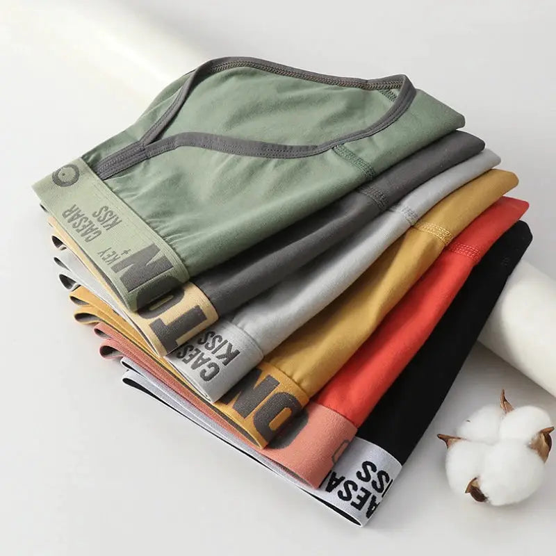Women cotton seamless briefs set of 9 in assorted colors by Simples Market