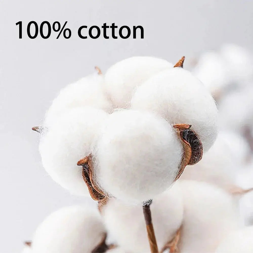 100% cotton close-up of white cotton bolls on stems
