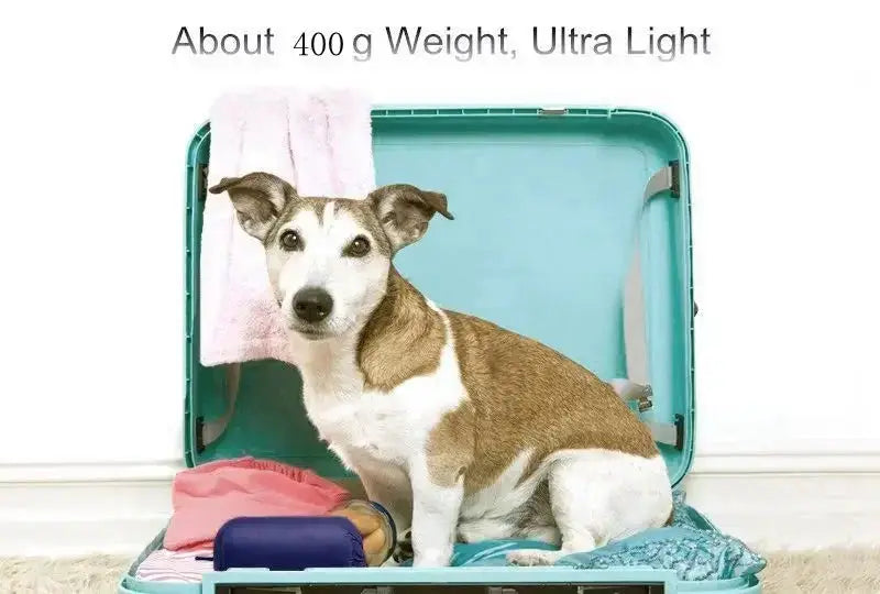 Small dog sits in open turquoise suitcase with clothing and blankets.