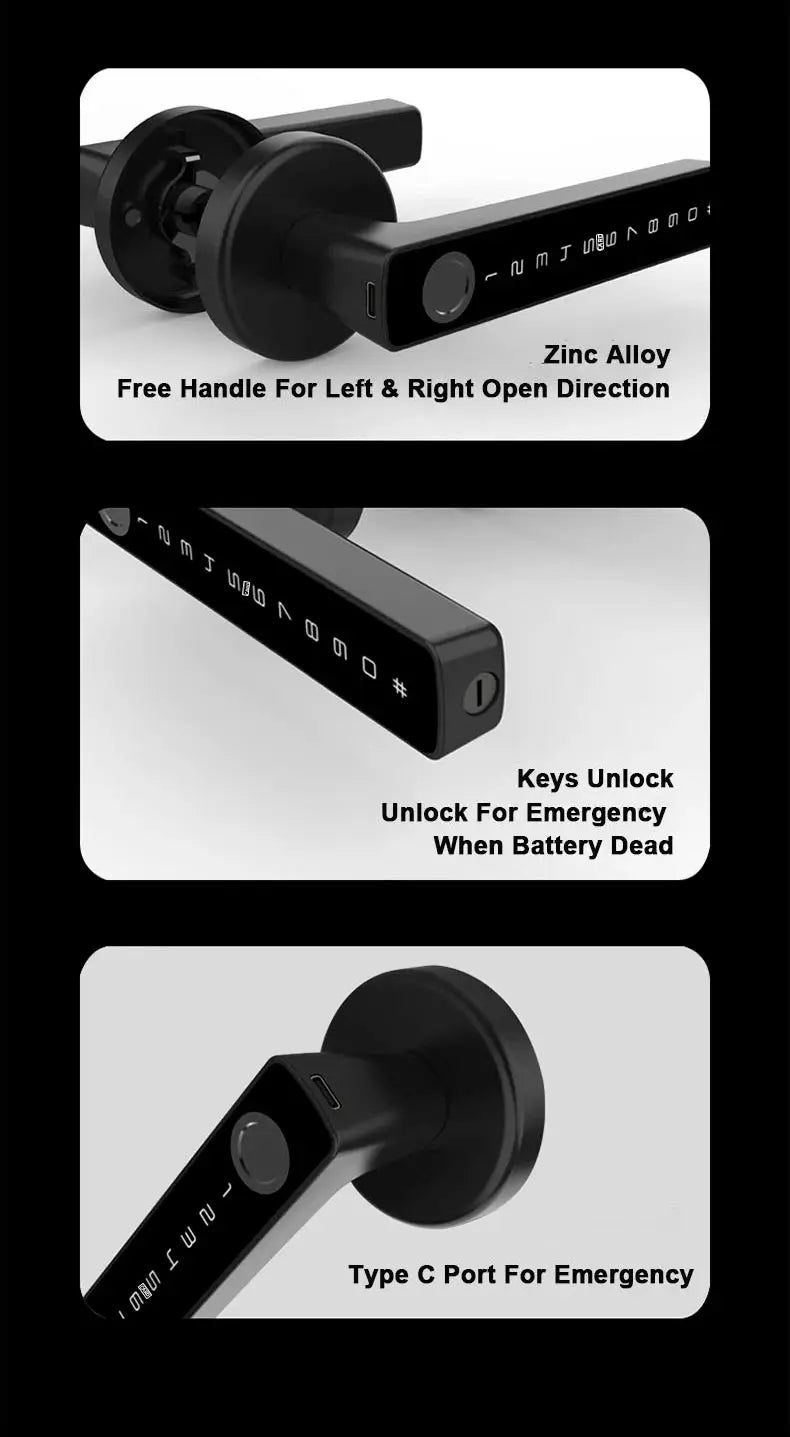 RAYKUBE M5 fingerprint door lock shown in three views: zinc alloy handle, emergency keys, and Type-C port.