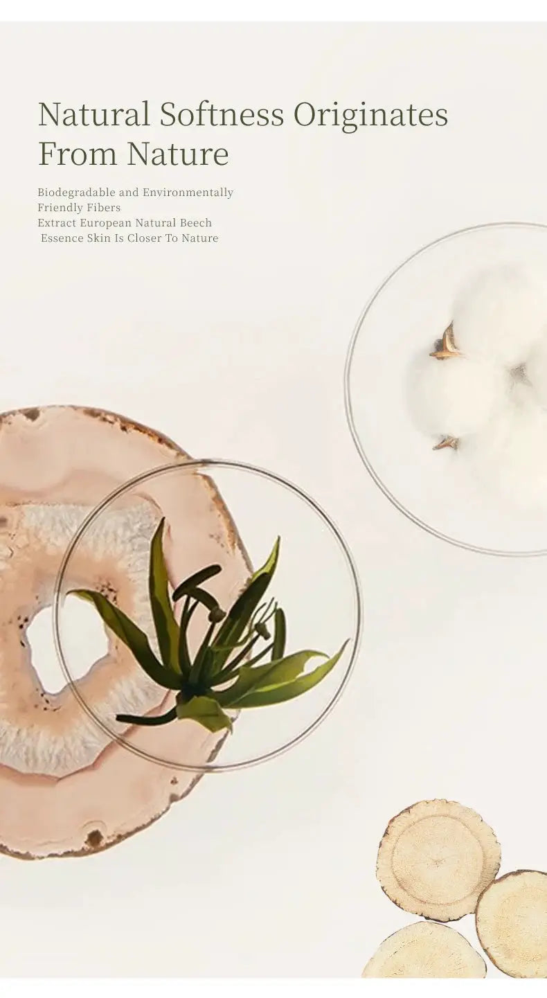 Natural fibers banner with cotton balls, green plant and wood slices on beige background.