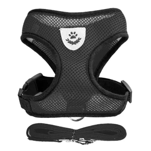 Adjustable Polyester Mesh Cat Harness Vest And Leash Set For Small To Medium Dogs And Cats With Reflective Piping