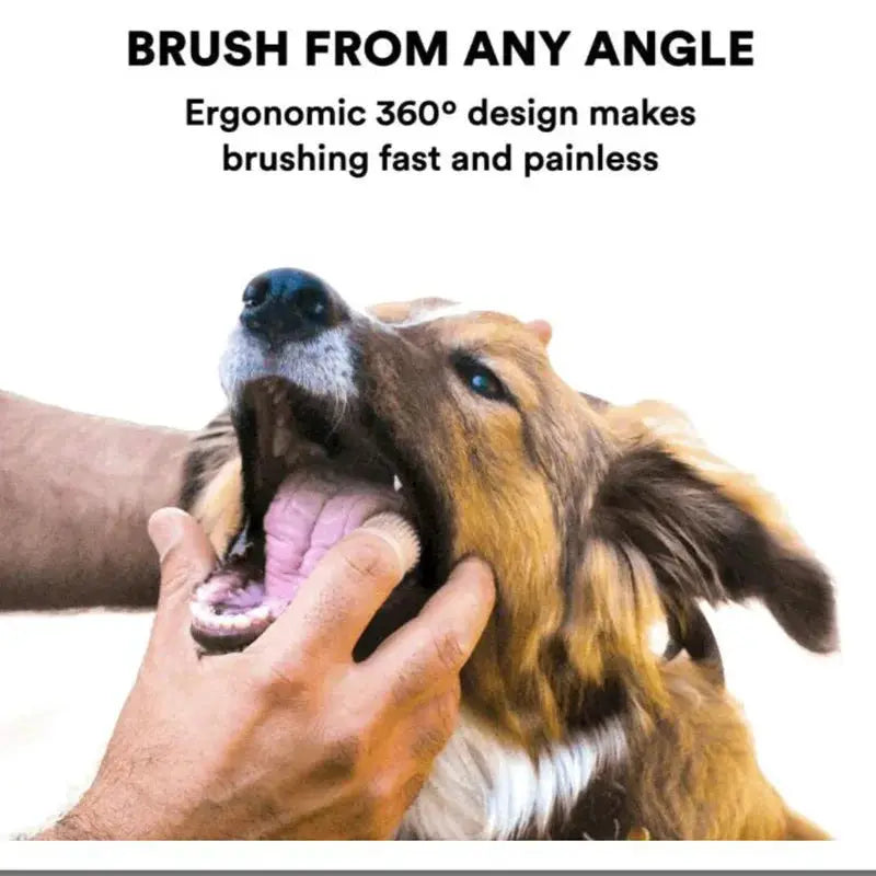 Ultra Soft Silicone Finger Toothbrush For Dogs And Cats A Gentle Dental Cleaning Tool For Teeth And Bad Breath Prevention
